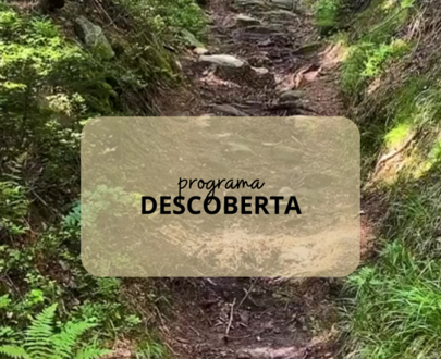 Programa DESCOBERTA